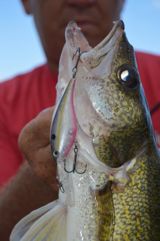 Crank up the crankbait
